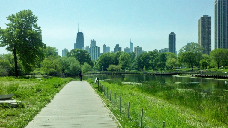 Lincoln Park Chicago