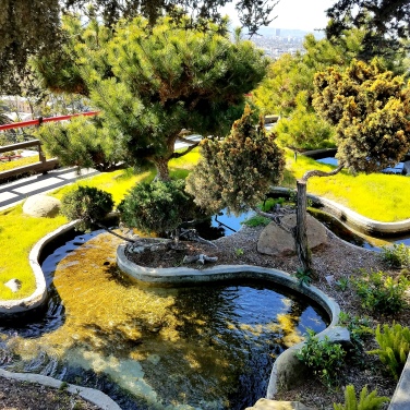 Japanese Gardens Los Angeles March 2018
